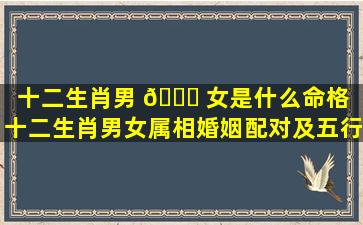 十二生肖男 🐒 女是什么命格「十二生肖男女属相婚姻配对及五行」